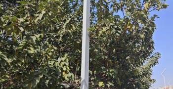 點(diǎn)亮城市，共筑美好｜路燈掃碼報(bào)修系統(tǒng)全新上線，誠(chéng)邀體驗(yàn)！